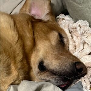 Meet your Posher, Paris